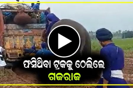 କାଦୁଅରେ ଫସିଗଲା ଶିଖମାନଙ୍କ ଟ୍ରକ୍, ତାପରେ ଗଜରାଜ ଦେଖାଇଲେ ଦୟା ଏବଂ ଟ୍ରକକୁ ଠେଲିବାକୁ ଲାଗିଲେ